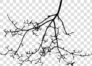 Free Png Tree Branch Silhouette Png Images Transparent   Tree Branch Silhouette Free  Png Download