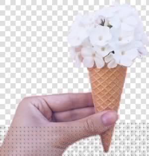 Icecream Icecreamcone Flowers  HD Png Download