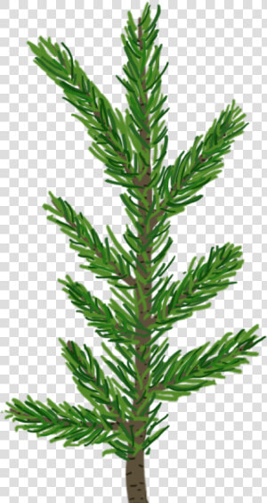 Alt Text   Transparent Pine Tree Leaves  HD Png Download