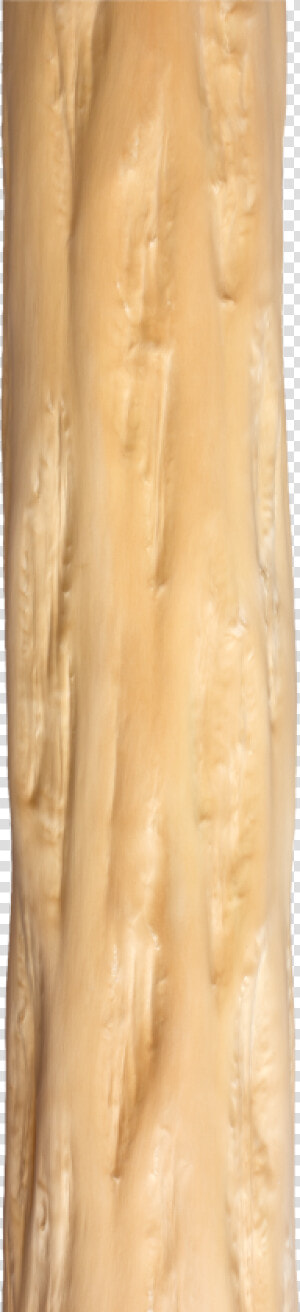 Tree Trunk Png Over The Bark Of The Treetree Trunk   Plywood  Transparent Png