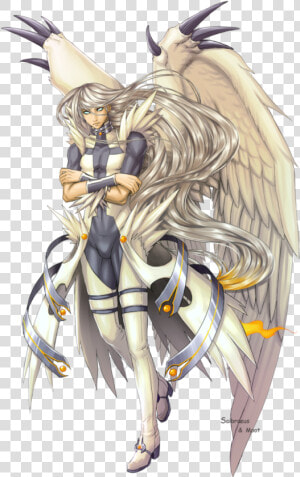 Zekrom Png  Transparent Png