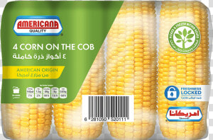 Corn Kernels  HD Png Download