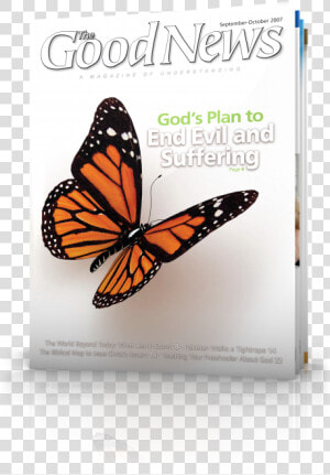The Good News September october   3d Butterfly  HD Png Download