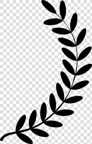 Vector Graphics Clip Art Laurel Wreath Portable Network   Olive Branch Clipart Free  HD Png Download