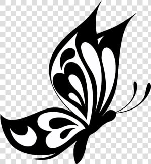 Elegant Butterfly Vector Images An Images Hub   Transparent Butterfly Vector Png  Png Download