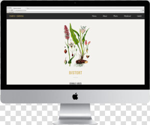 Momentfeed S Paid Media Campaign Builder   Imac 27  HD Png Download
