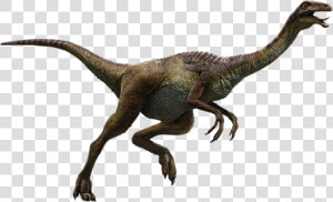 Transparent Velociraptor Png   Jurassic World Dinosaurs Gallimimus  Png Download