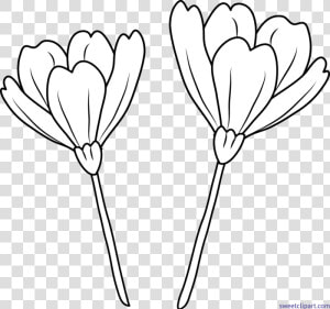 Transparent Flower Line Png   Flower Line Art Png  Png Download