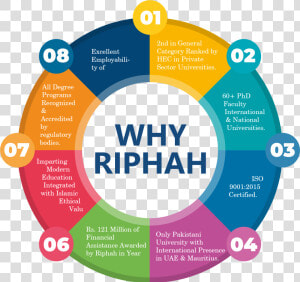 Flowchart  HD Png Download