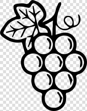 Grapes Black   Black And White Grapes  HD Png Download