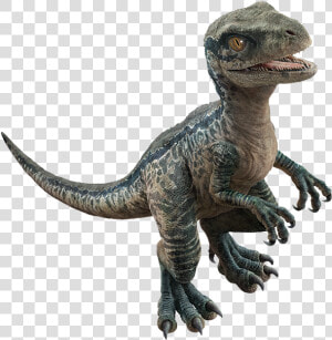  jurassicworld   Ankylosaurus   Apatosaurus   Baby   Jurassic World Fallen Kingdom Baby Raptor  HD Png Download