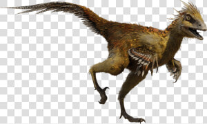 Thumb Image   Color Is The Troodon  HD Png Download