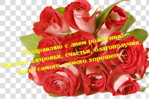 Одноклассники  Гифки С Днем Рождения Светлана Ивановна   Roses  HD Png Download