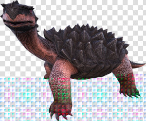 Carbonemys   Animals Have Keratin In Ark  HD Png Download