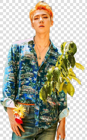  exo  kokobop  sehun  freetoedit   Sehun Kokobop Png  Transparent Png