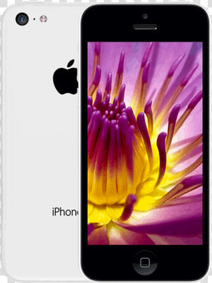 Contrast Color For Violet  HD Png Download