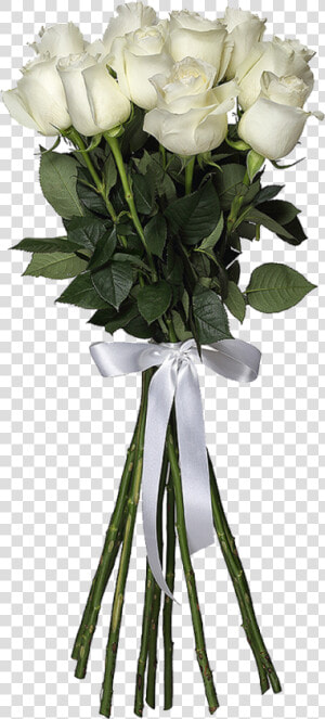 White Roses Png Hd Images   3 White Roses Png  Transparent Png