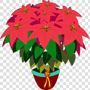 Flower Drawing Poinsettia Digital Image Cc0  HD Png Download