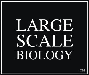 Large Scale Biology Logo Png Transparent   Poster  Png Download