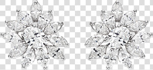 Precious Designer Jewellery   Earrings  HD Png Download