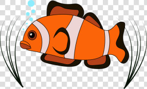Clown Fish Vector Clown Free Photo   ปลา การ์ตูน Png  Transparent Png