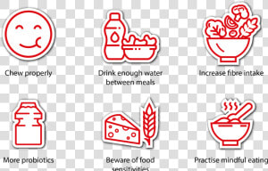 Digestive  HD Png Download