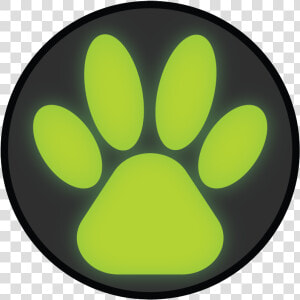 Miraculous Cat Noir Logo   Png Download   Miraculous Ladybug  Transparent Png
