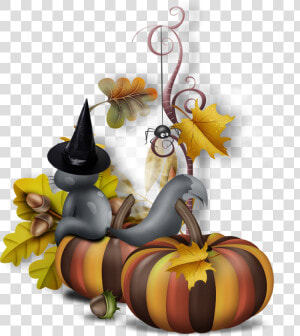 B  ✿  Pumpkin Png  Halloween Cartoons  Cartoon Gifs    Transparent Halloween Cats Gif  Png Download