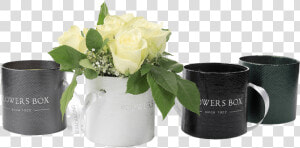 Tube Flower Box   Garden Roses  HD Png Download
