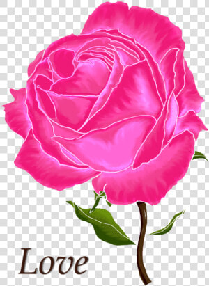 Digital Arts  ©2017 By Hayley Nunn   Digital Rose Images Love Flowers  HD Png Download