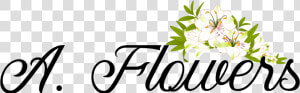 Brooklyn  Ny Florist  HD Png Download