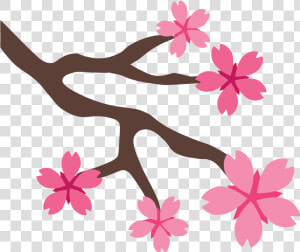 Sakura Flower Png   Sakura  png  Transparent Png