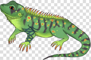 Horned Lizard Clipart Green Iguana   Transparent Background Iguana Clipart  HD Png Download