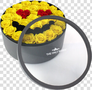 Persian Buttercup  HD Png Download