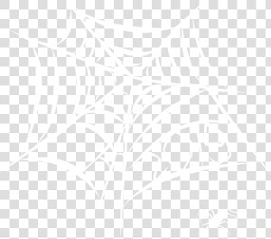 A White Spiderweb With 2019 Spelled Out In The Web   Illustration  HD Png Download