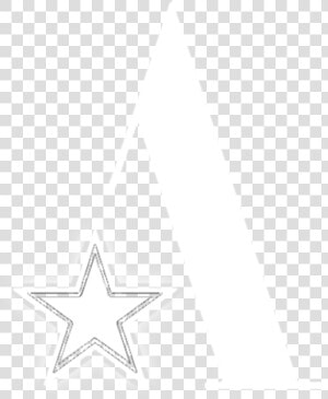 Aster Png  Transparent Png