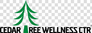 Cedar Tree Graphic  HD Png Download