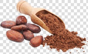 Transparent Cacao Png   Granos De Cacao Png  Png Download
