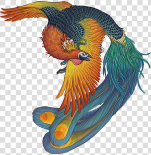 Phoenix Bird Harry Potter   Bird Feng Huang  HD Png Download