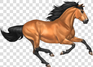 Download Horse Png Transparent Images Transparent Backgrounds   Transparent Background Horse Clipart  Png Download
