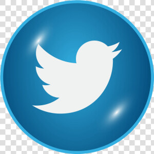 Twitter Glossy Icon Png Image Free Download Searchpng   Location Icon Blue Circle  Transparent Png