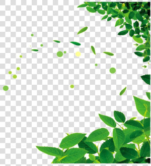 Transparent Famine Clipart   Green Leaf Frame Png  Png Download