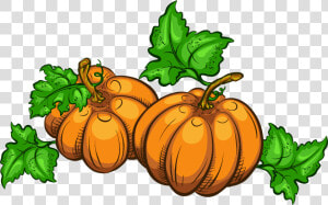 Gourd   Transparent Background Pumpkin Clipart  HD Png Download