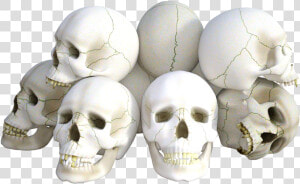 Skulls Horror Death Free Picture   Bretton Woods Agreements  HD Png Download