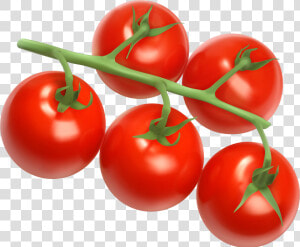 Cherry Tomato Clipart Cute   Vitamins Class Of Foods  HD Png Download
