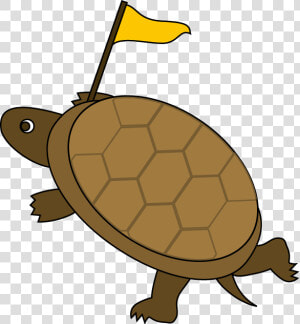 Clip Art Of Seaotter And Tortoise    Turtle  HD Png Download