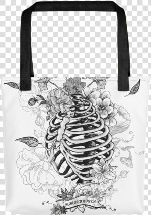Ribcage Png  Transparent Png