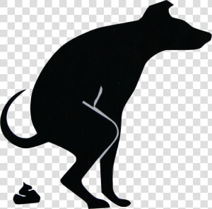 Dog Pooping Png   หมาขี้ไม่มีใครยกหาง  Transparent Png