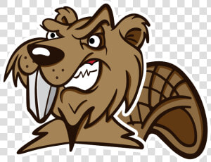 Chucky The Beaver   Cartoon  HD Png Download