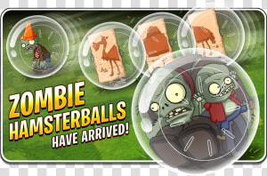 Plants Vs Zombies Hamster Ball  HD Png Download